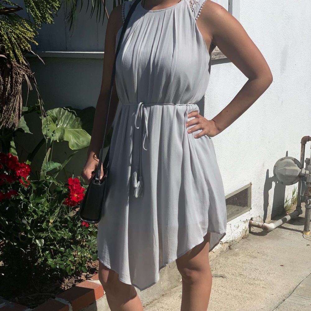 Naked Zebra Small Dress